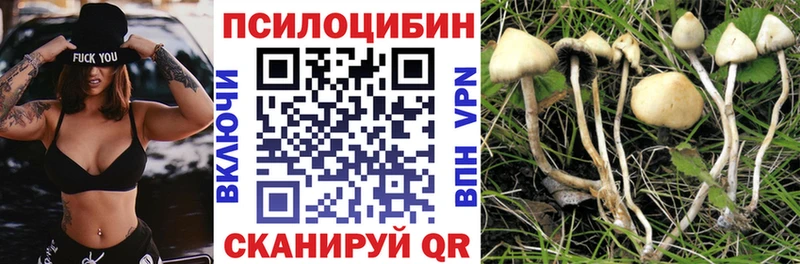 Псилоцибиновые грибы MAGIC MUSHROOMS Нижнекамск