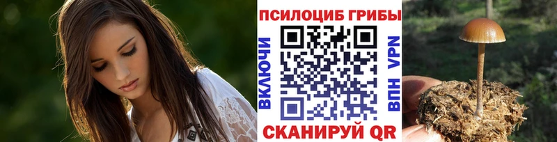 Псилоцибиновые грибы GOLDEN TEACHER продажа наркотиков OMG ONION Нижнекамск