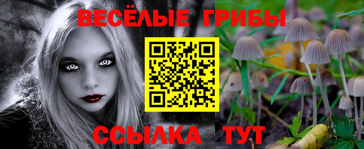 Галлюциногенные грибы GOLDEN TEACHER Нижнекамск