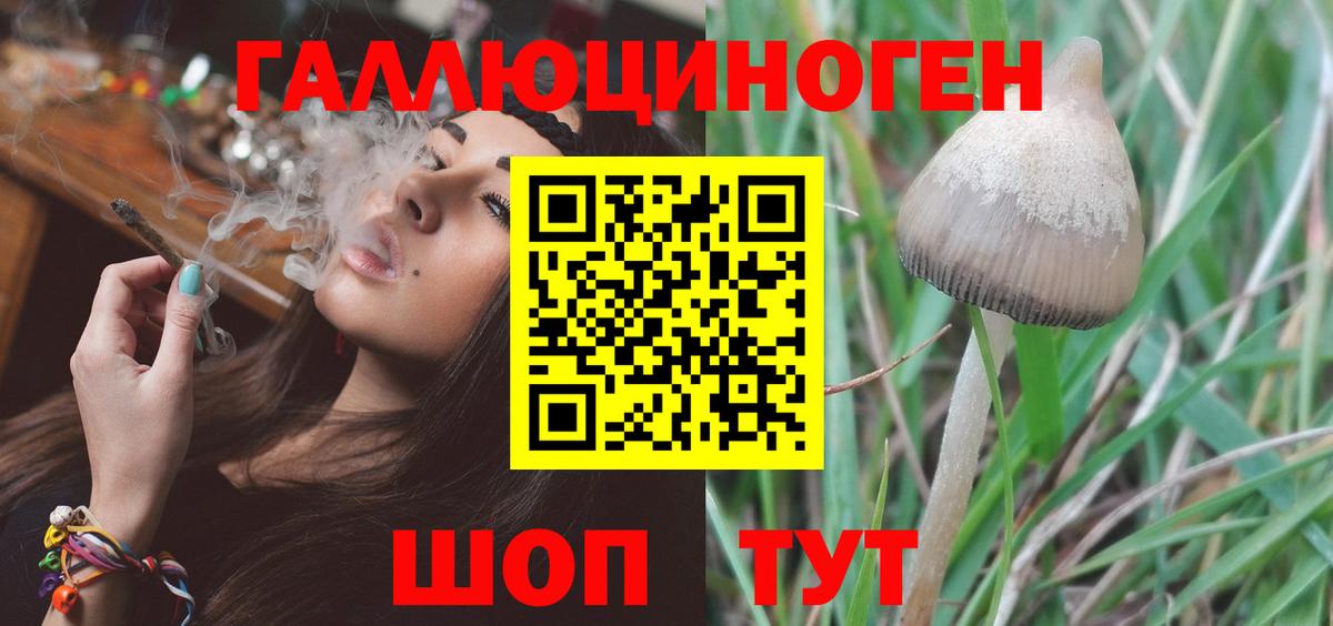 Сколько стоит  Меф МЯУ МЯУ   ГАШИШ  КОКАИН  Вход с VPN  Экстази  Нижнекамск  Канабис 