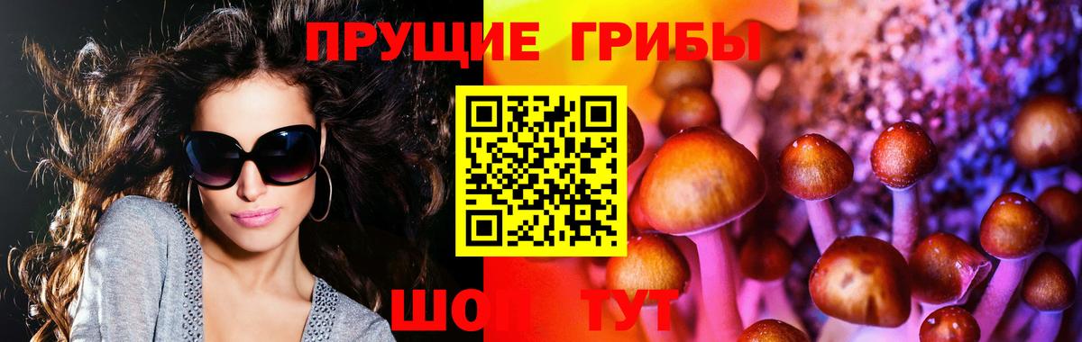 Нижнекамск  Псилоцибиновые грибы GOLDEN TEACHER  Вход с VPN 