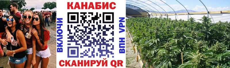 цена   Нижнекамск  Шишки марихуана семена 